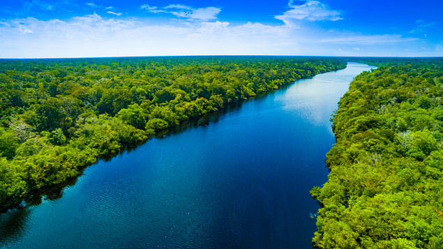Amazônia (NEURO-NEMUS)